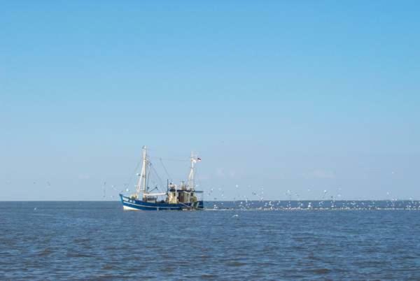 Nonnenganshauser Friedrichskoog Exteriör bild